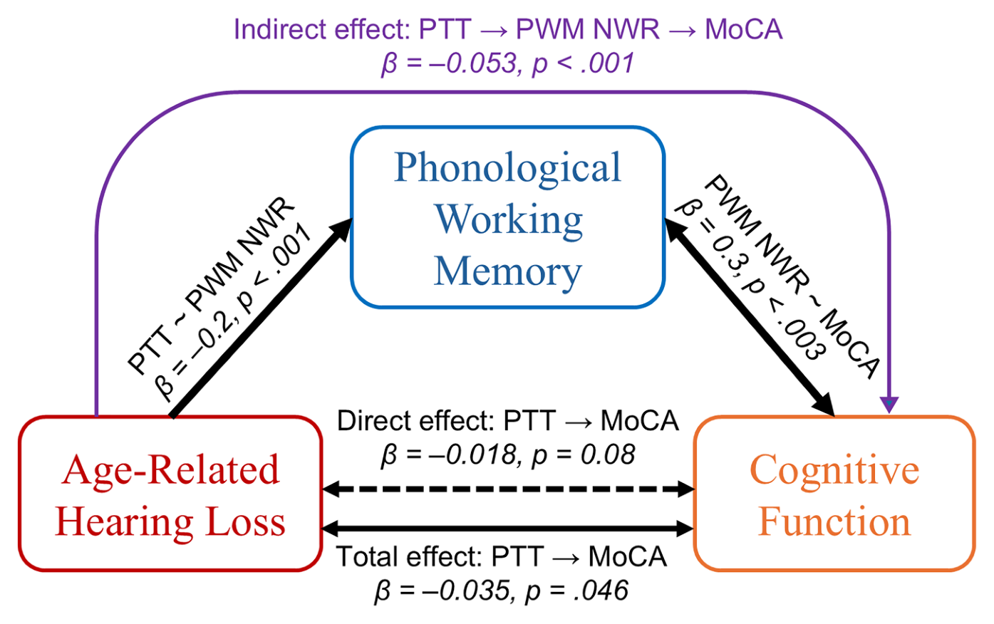 Mediation model: phonological working memory as a pathway between age-related hearing loss and cognitive function