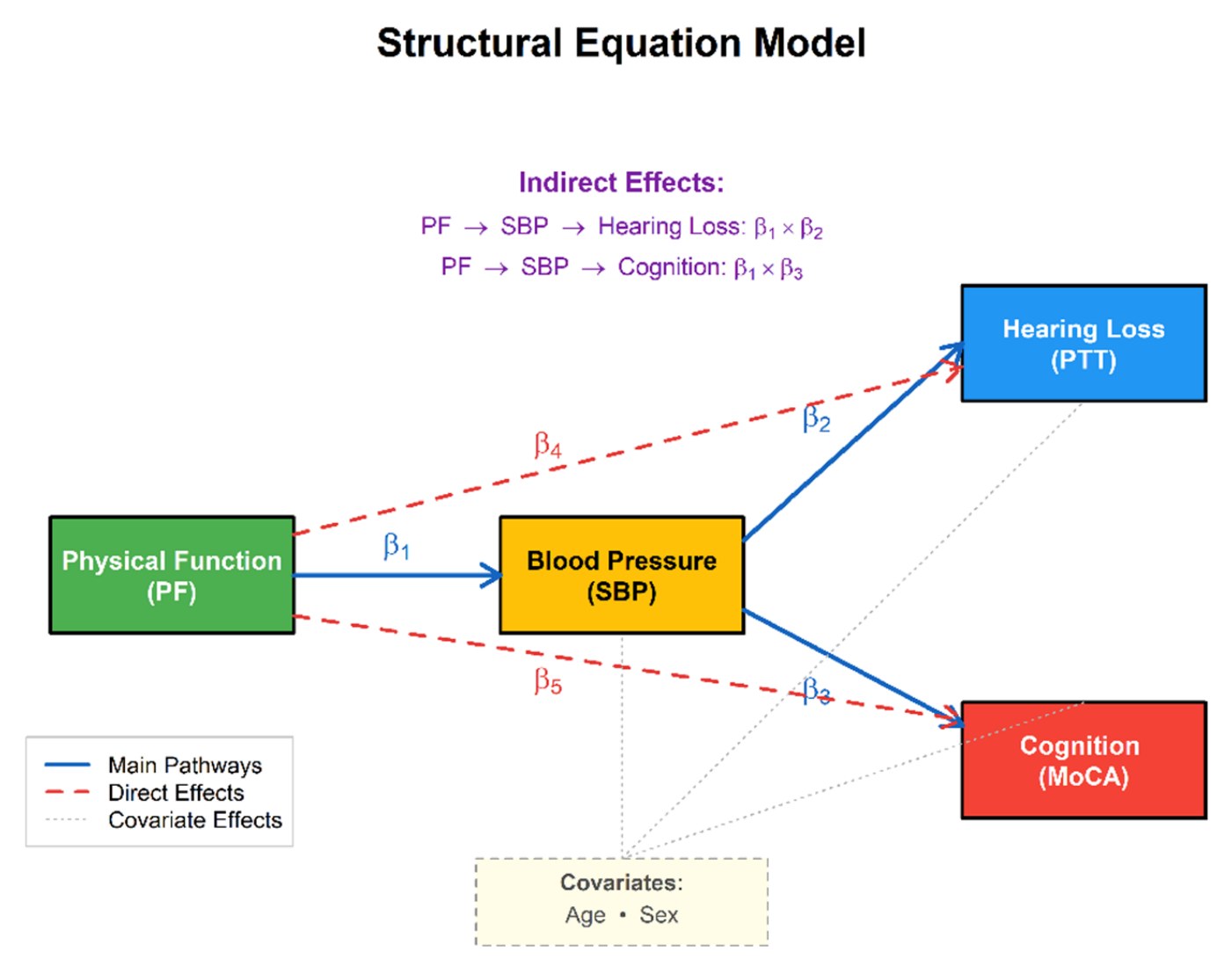 Structural equation model of physical function, systolic blood pressure, hearing, and cognition